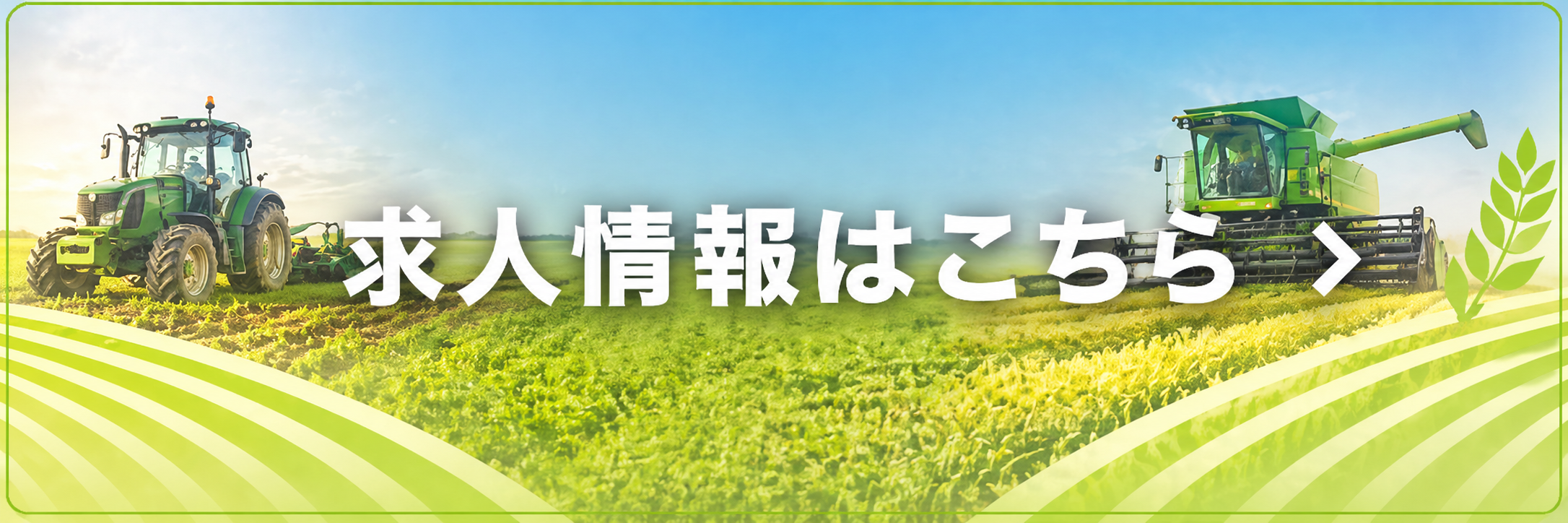 求人情報はこちら